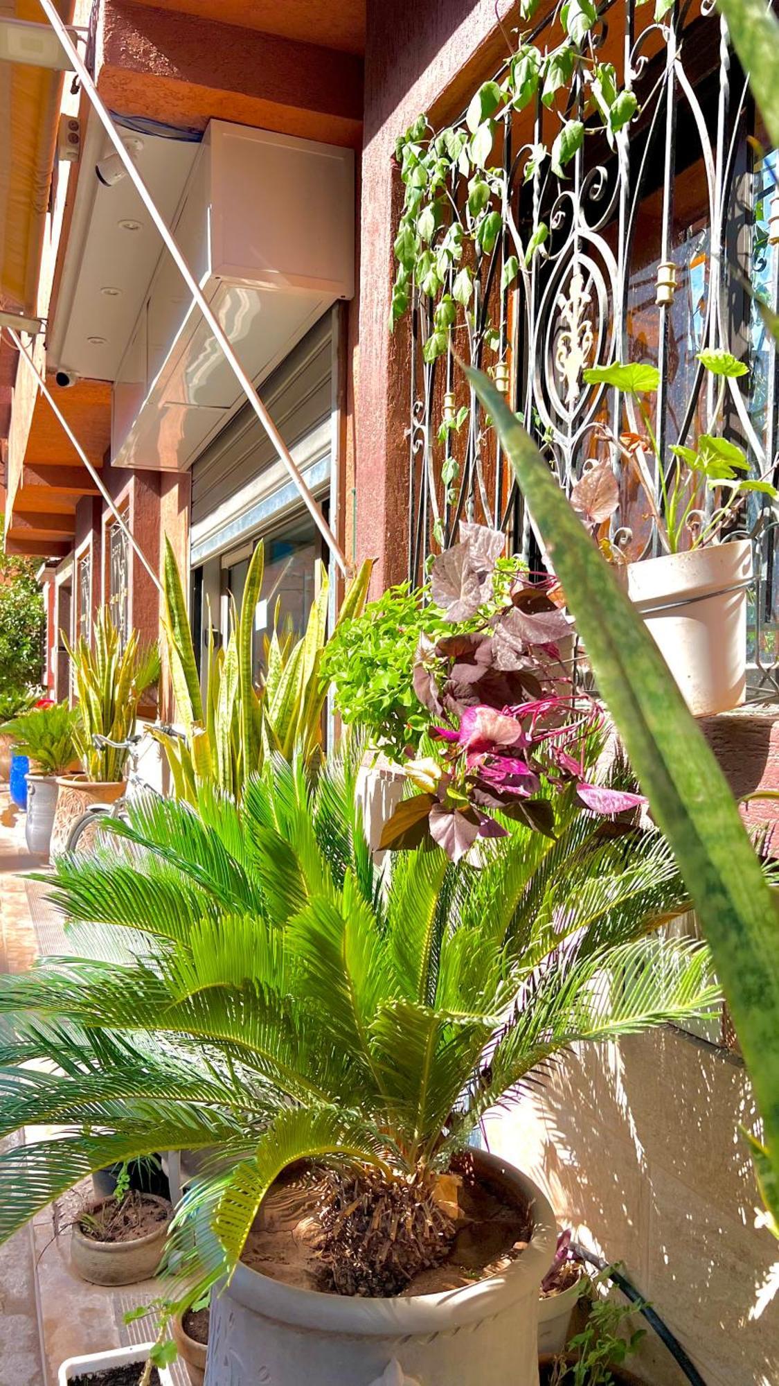 Sabor Aparts Jawharat Al Atlas -Only Family Marrakesh Esterno foto
